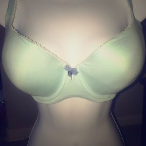 Victoria Secret Aqua Blue Bra 34DDD